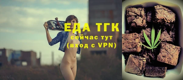 мдпв Краснослободск