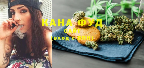 мдпв Краснослободск