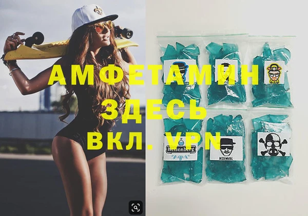 мдпв Краснослободск