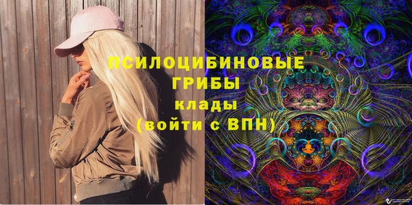 мдпв Краснослободск