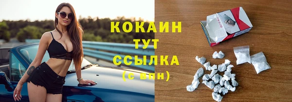 мдпв Краснослободск
