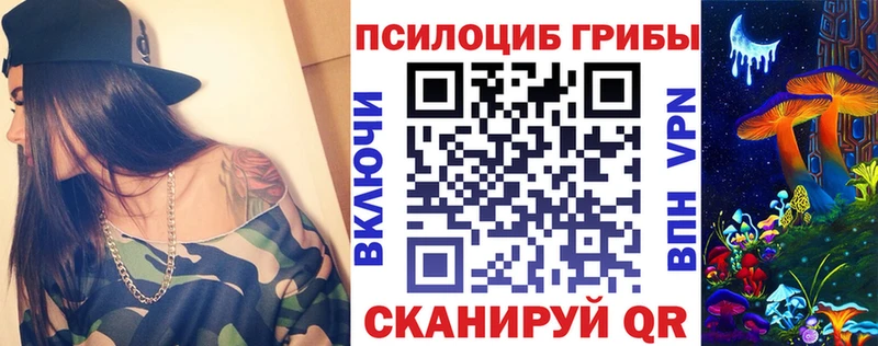 Купить закладки  Адыгейск  Псилоцибиновые грибы Psilocybe 